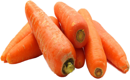 ZANAHORIA
