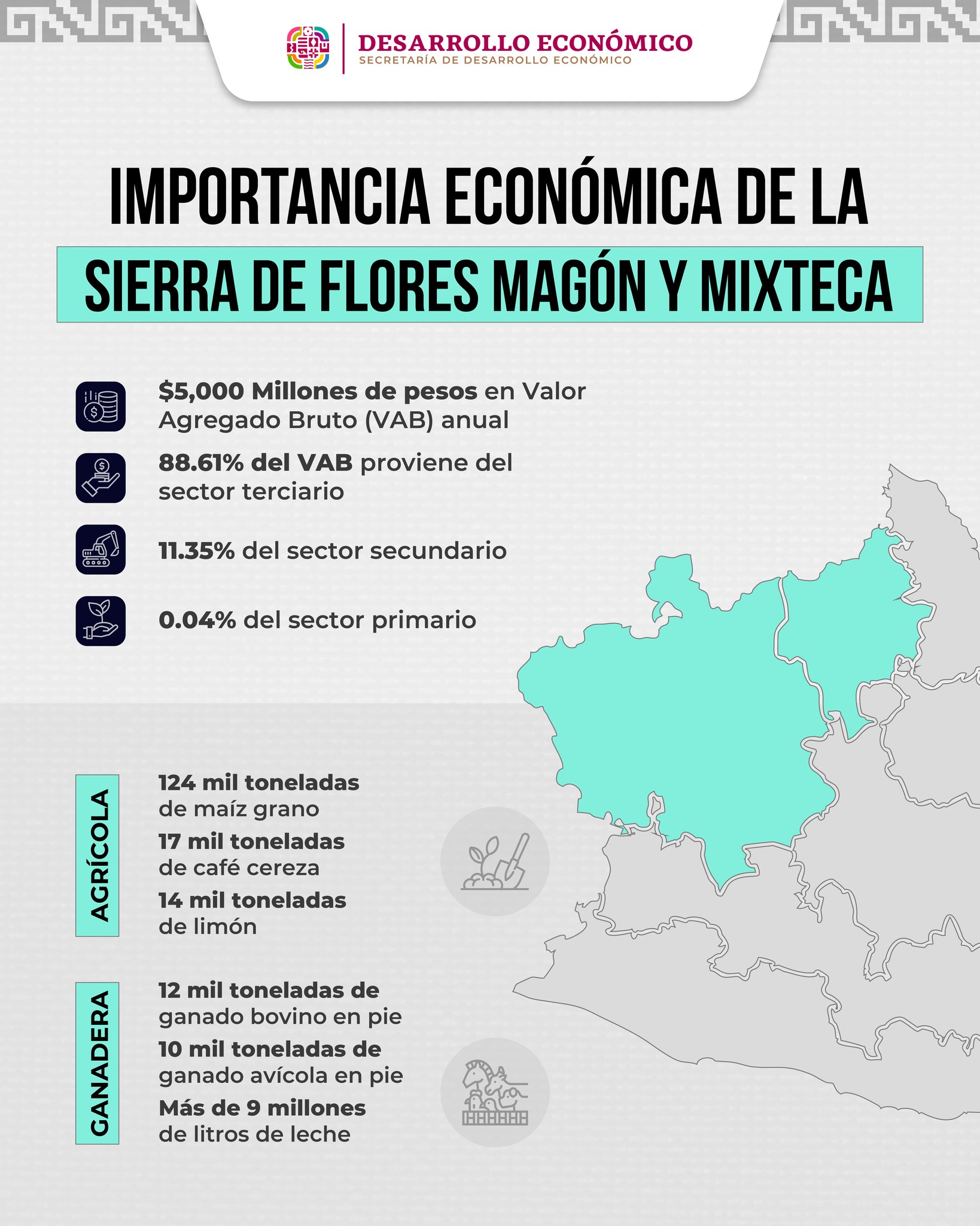 Importancia Económica de la Sierra de Flores Magón y Mixteca